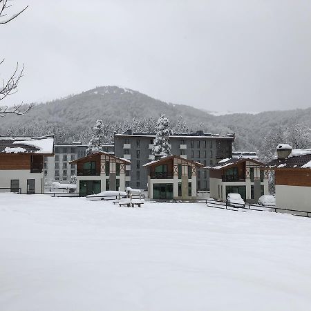 Cottage In Bakuriani Dış mekan fotoğraf