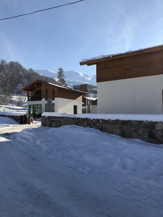 Cottage In Bakuriani Dış mekan fotoğraf